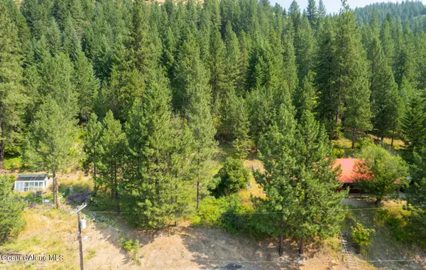Lots 1-3 Pine St, Mullan, ID 83846