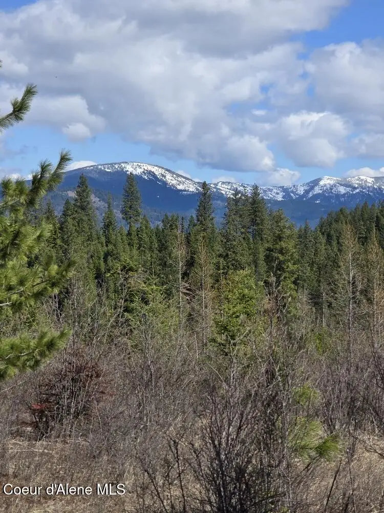 NKA Mutch Creek Road, Saint Maries, ID 83861 - #2
