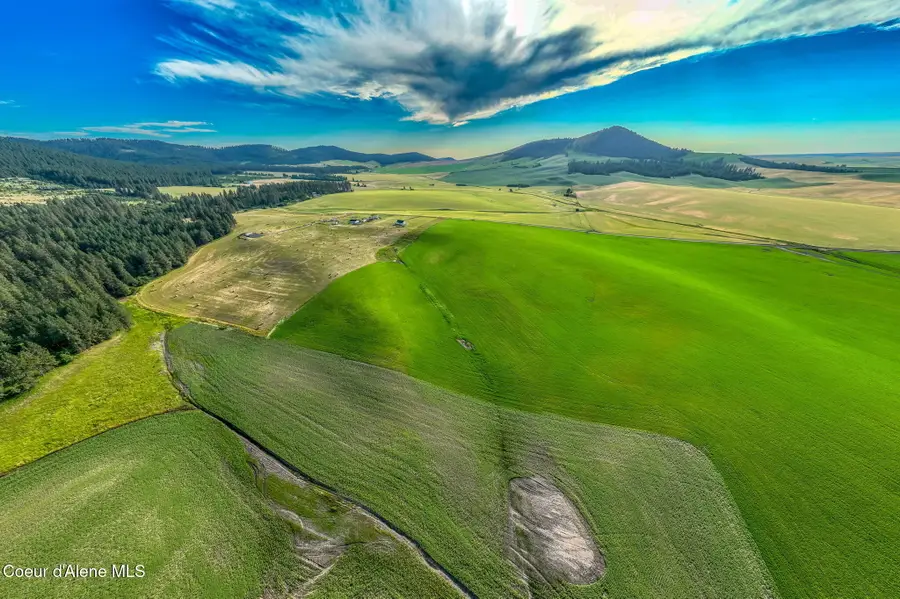 10 Acres 783 Old Mills Rd, Desmet, ID 83824 - #2