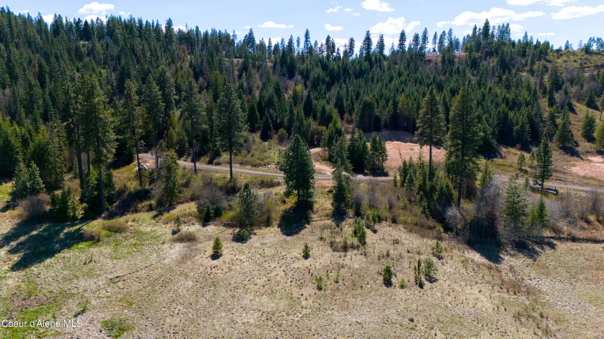 Lot 5 Lone Moose Dr, Plummer, ID 83851 - #1