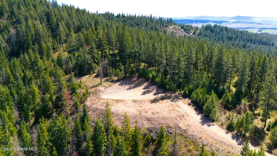 Lot 10 Lone Moose Dr, Plummer, ID 83851 - #2