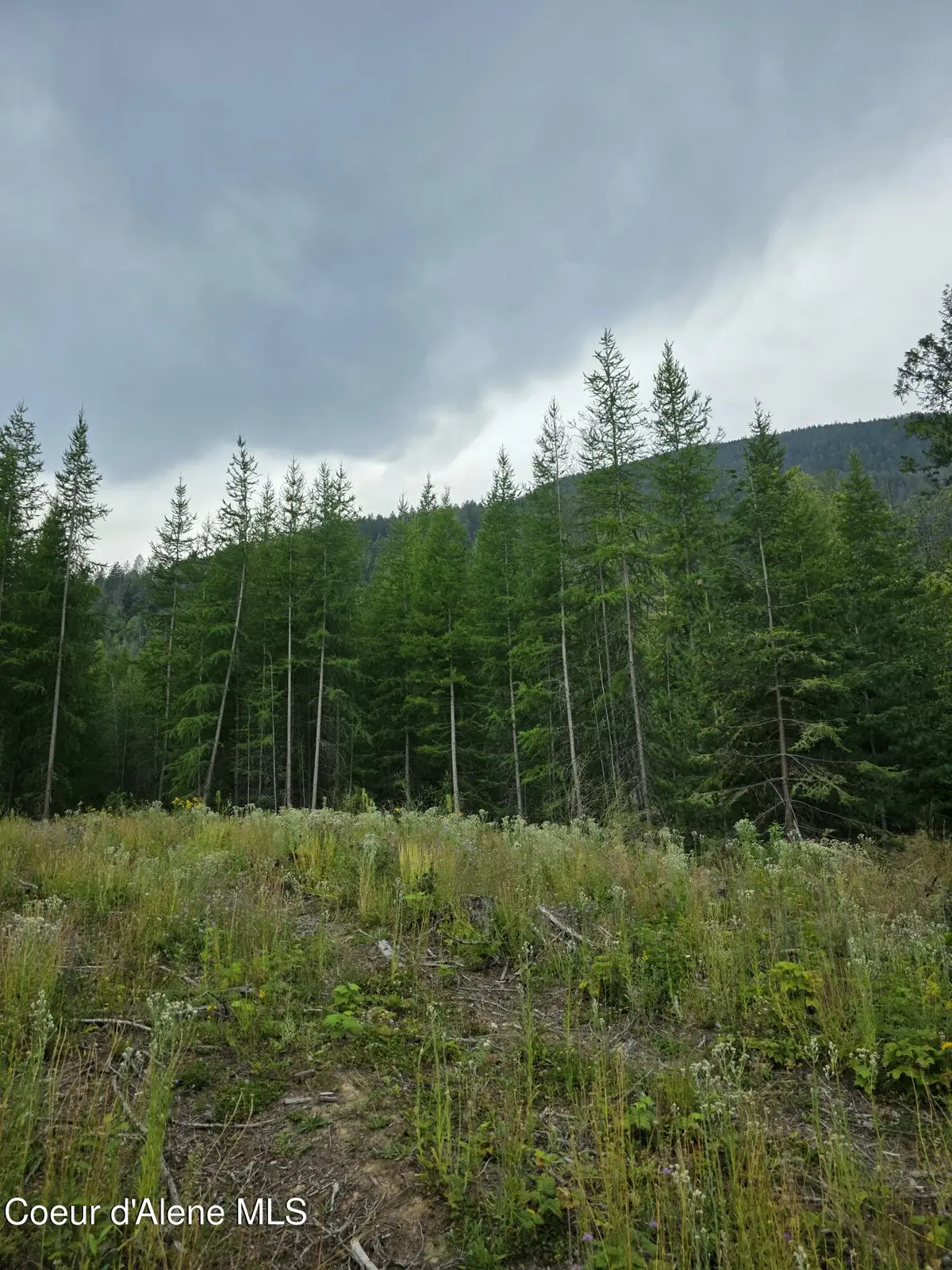 NNA WESTSIDE RD PARCEL10, Bonners Ferry, ID 83805 - #1