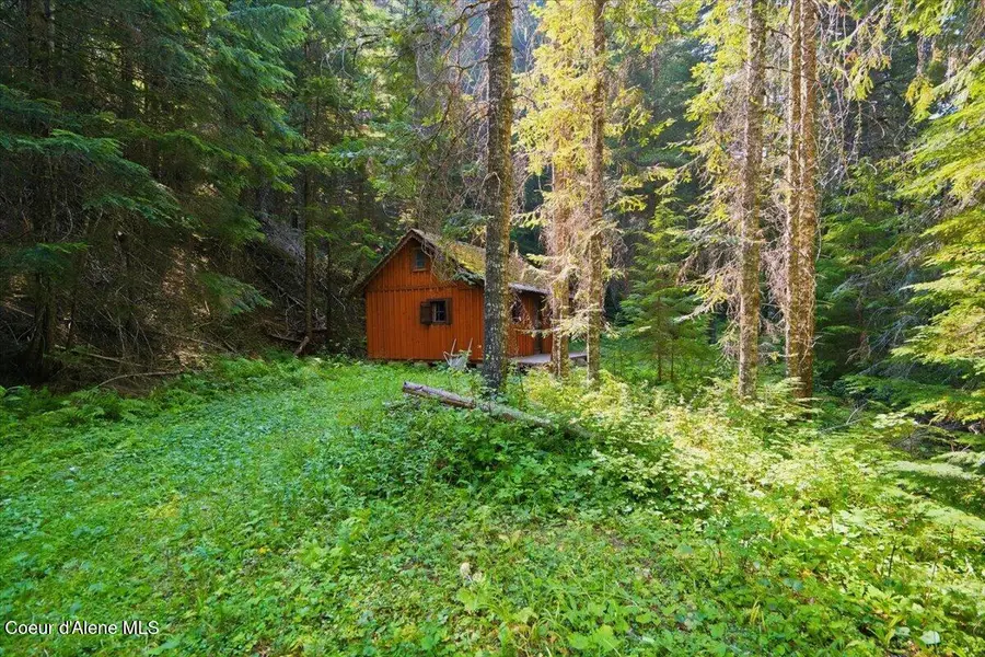 NKA 40 AC USFS 610 Rd, Hayden, ID 83835 - #3