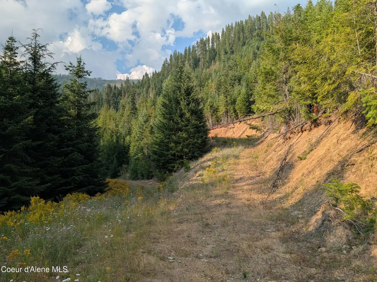 NNA 20.02a Daisy Gulch RD, Mullan, ID 83846 - #1