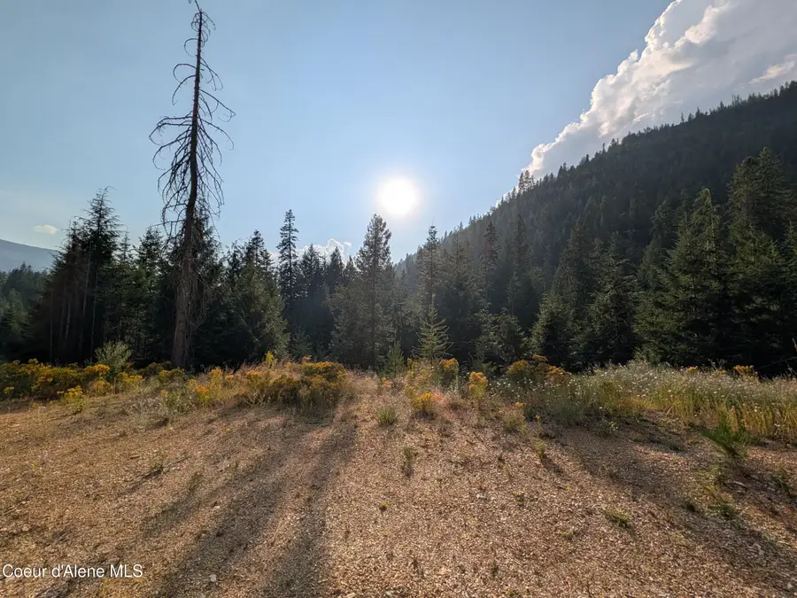 NNA 20.02a Daisy Gulch RD, Mullan, ID 83846 - #3
