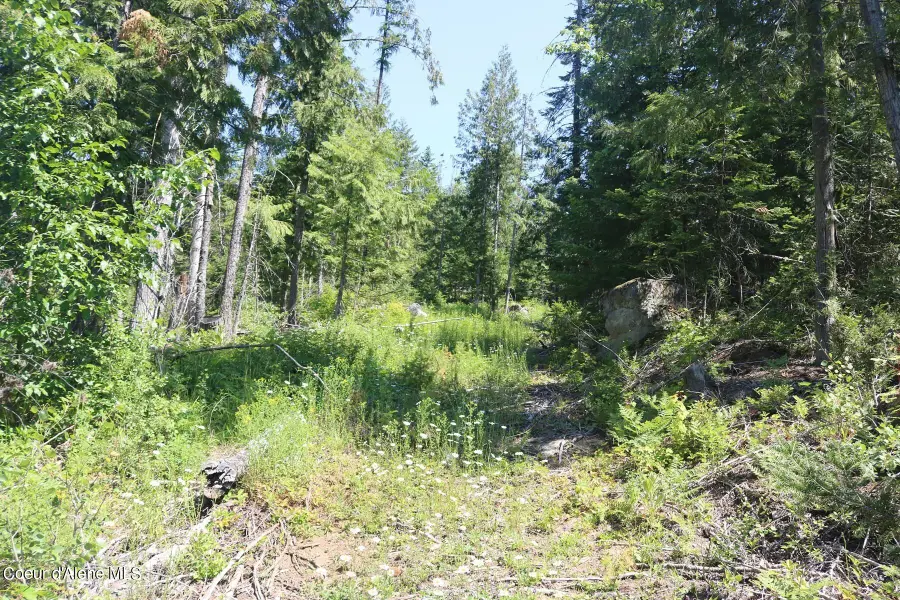 2110 Mushroom Kingdom Trl, Sandpoint, ID 83864 - #2
