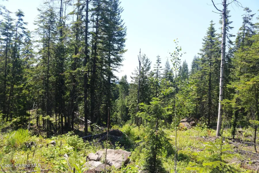 2110 Mushroom Kingdom Trl, Sandpoint, ID 83864 - #3