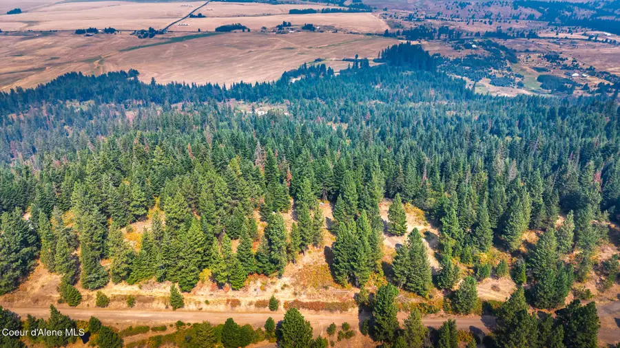 NNA S Aurora Ln, Worley, ID 83876 - #2