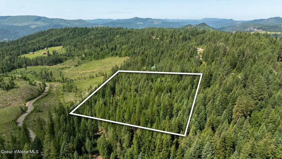 3232 Hells Gulch RD, Saint Maries, ID 83861 - #3