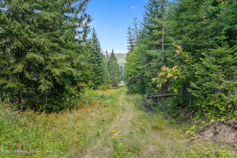 3572 S Moose Canyon RD, Coeur Dalene, ID 83814 - #3