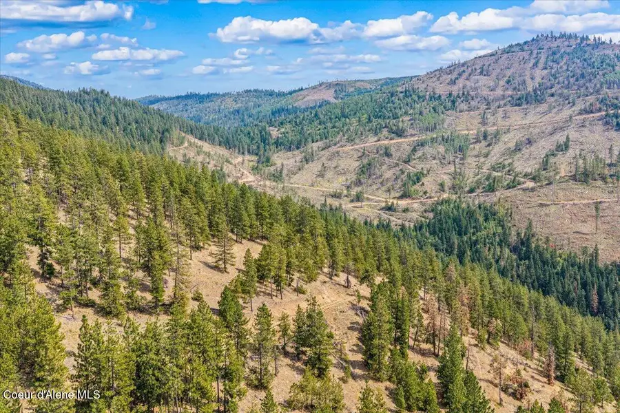 NKA S Idaho Rd, Post Falls, ID 83854 - #3