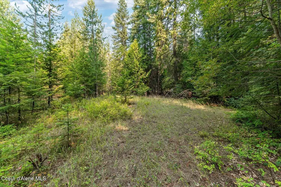 NKA W Radmer Rd, Rathdrum, ID 83858 - #2