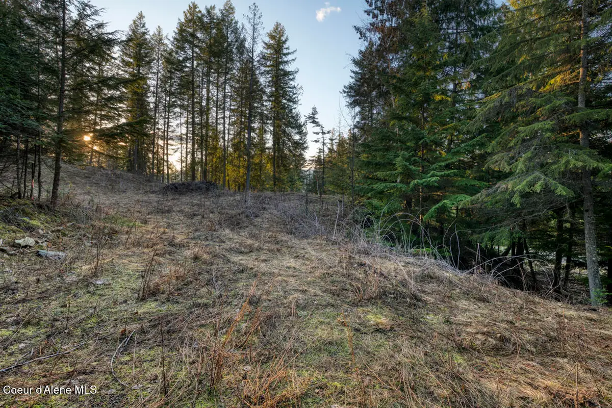 NNA White Cloud, Sandpoint, ID 83864 - #1