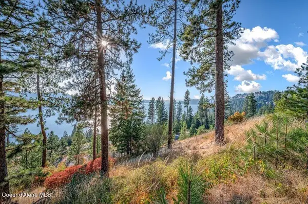 NNA Bedrock DR, Harrison, ID 83833
