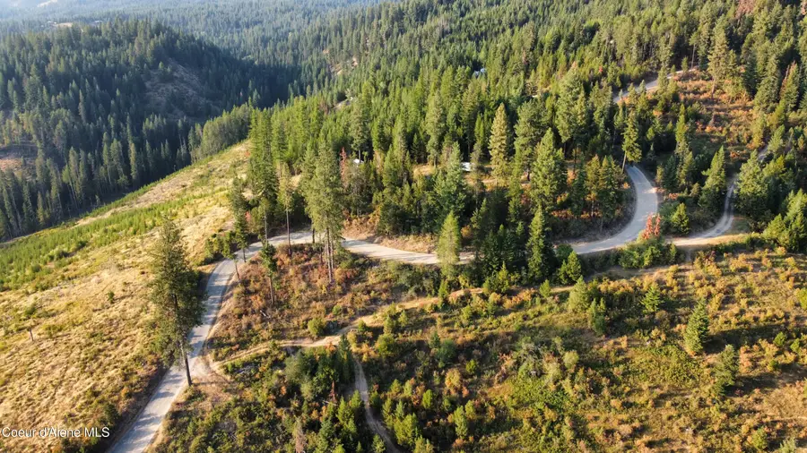 972 Crystal Peak RD, Fernwood, ID 83830 - #2