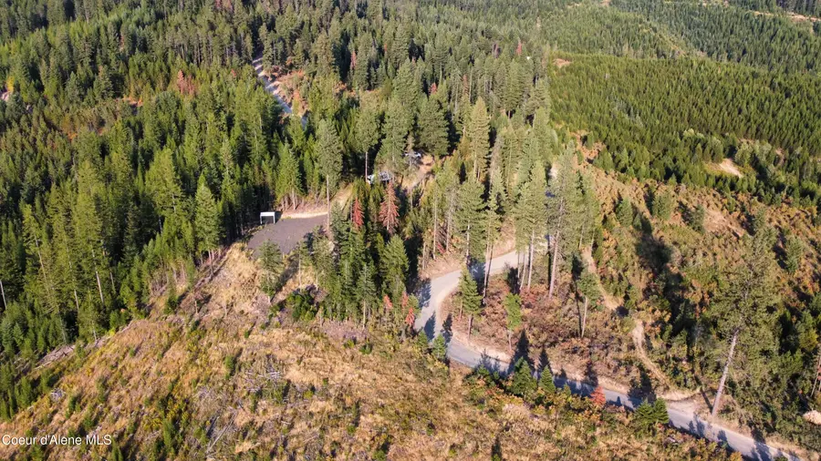 972 Crystal Peak RD, Fernwood, ID 83830 - #3