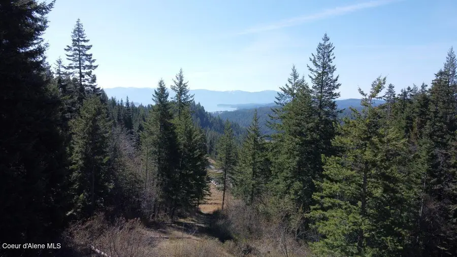 NNA Green Monarch Lane, Sandpoint, ID 83864 - #3
