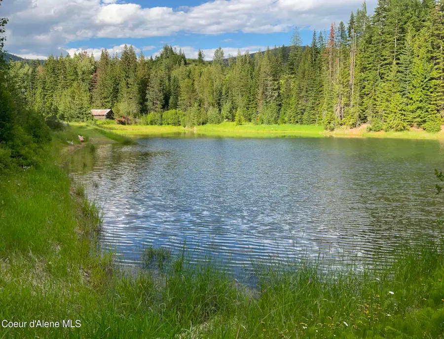 880 Abbey Rd, Saint Maries, ID 83861 - #3