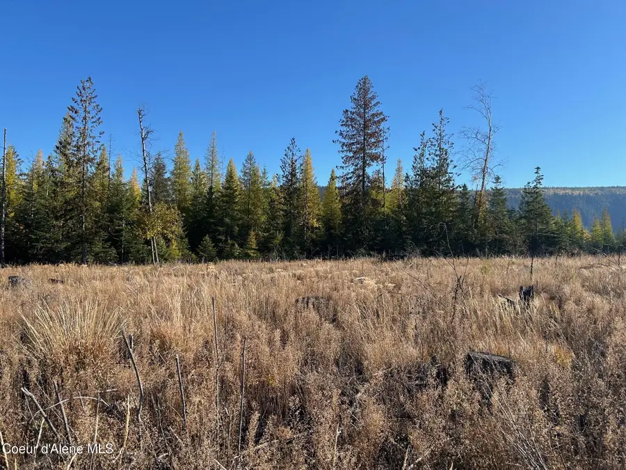 Tract G USFS 2222A, Moyie Springs, ID 83845 - Image #3