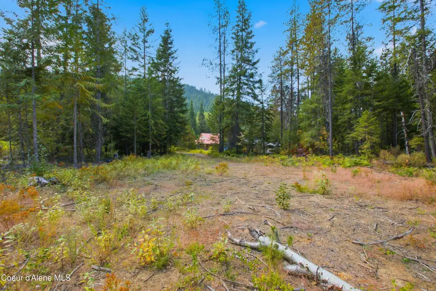 NKA 20-ac Butler Creek Road, Cocolalla, ID 83813 - #2