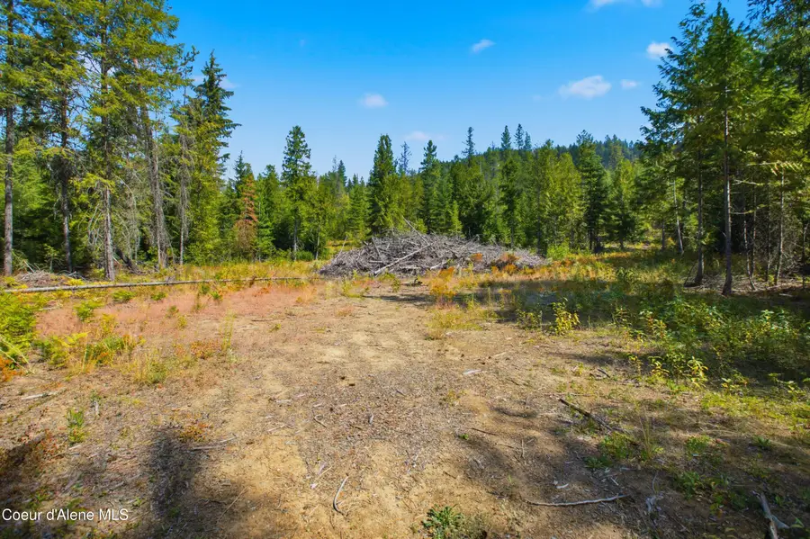 NKA 20-ac Butler Creek Road, Cocolalla, ID 83813 - #3