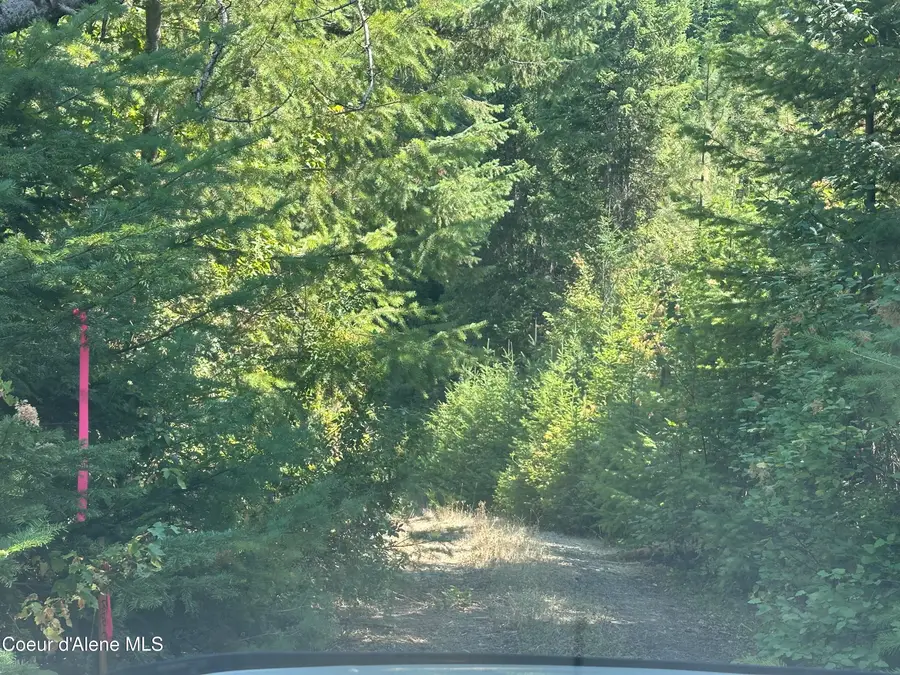 NKA Ridgeview Drive-W2, Saint Maries, ID 83861 - #2