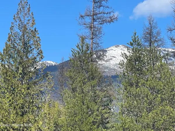 NNA Wolverine Rd Tract 1, Moyie Springs, ID 83845