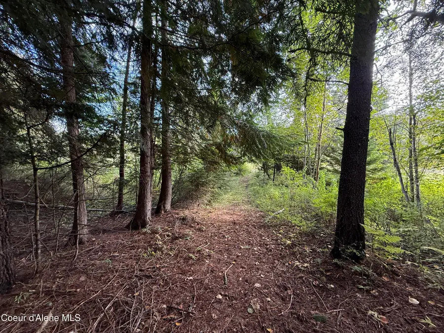 331 Fall Creek RD, Naples, ID 83847 - #2