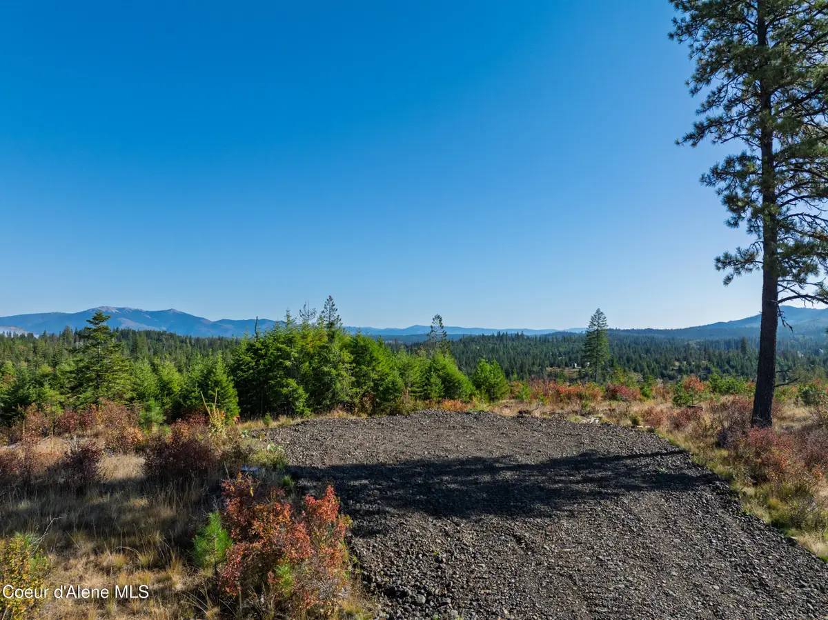 Tract S Sportsman RD, Saint Maries, ID 83861 - #1