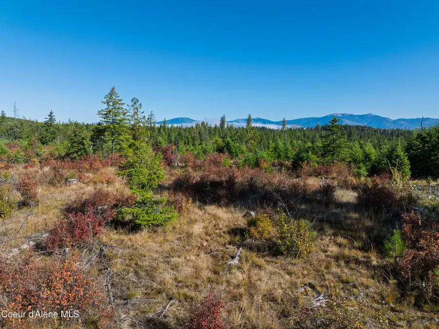Tract S Sportsman RD, Saint Maries, ID 83861 - #3