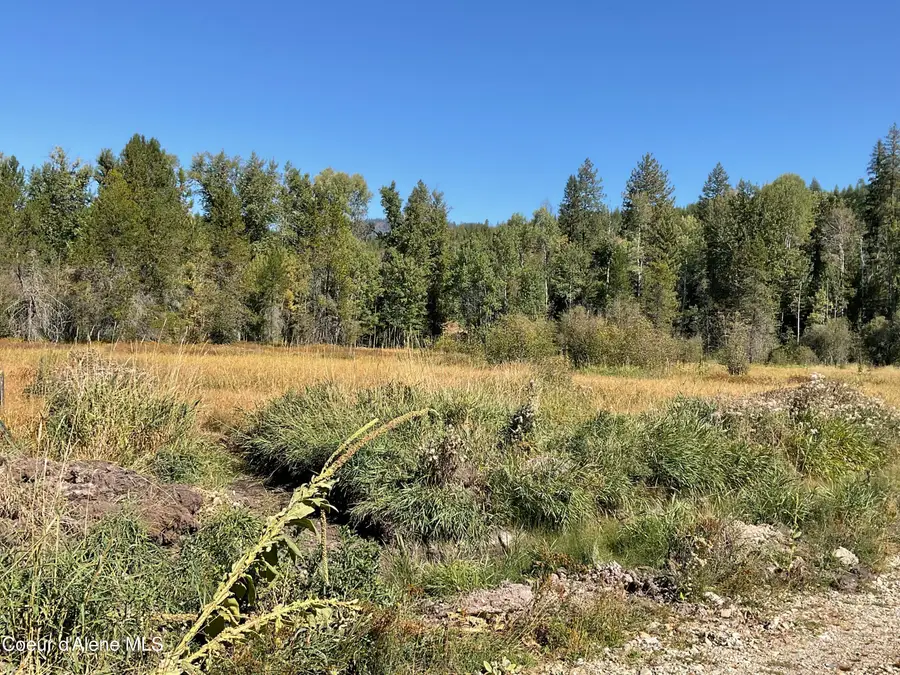 31 Red Alder Rd, Careywood, ID 83809 - #2