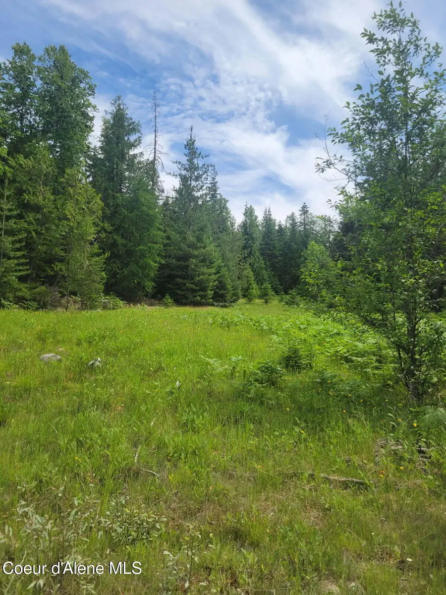 240 Rising Hawk Ridge Rd, Sandpoint, ID 83864 - Image #2