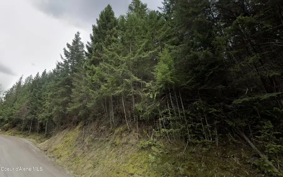 NNA E Half Round Bay Rd, Harrison, ID 83833 - #2