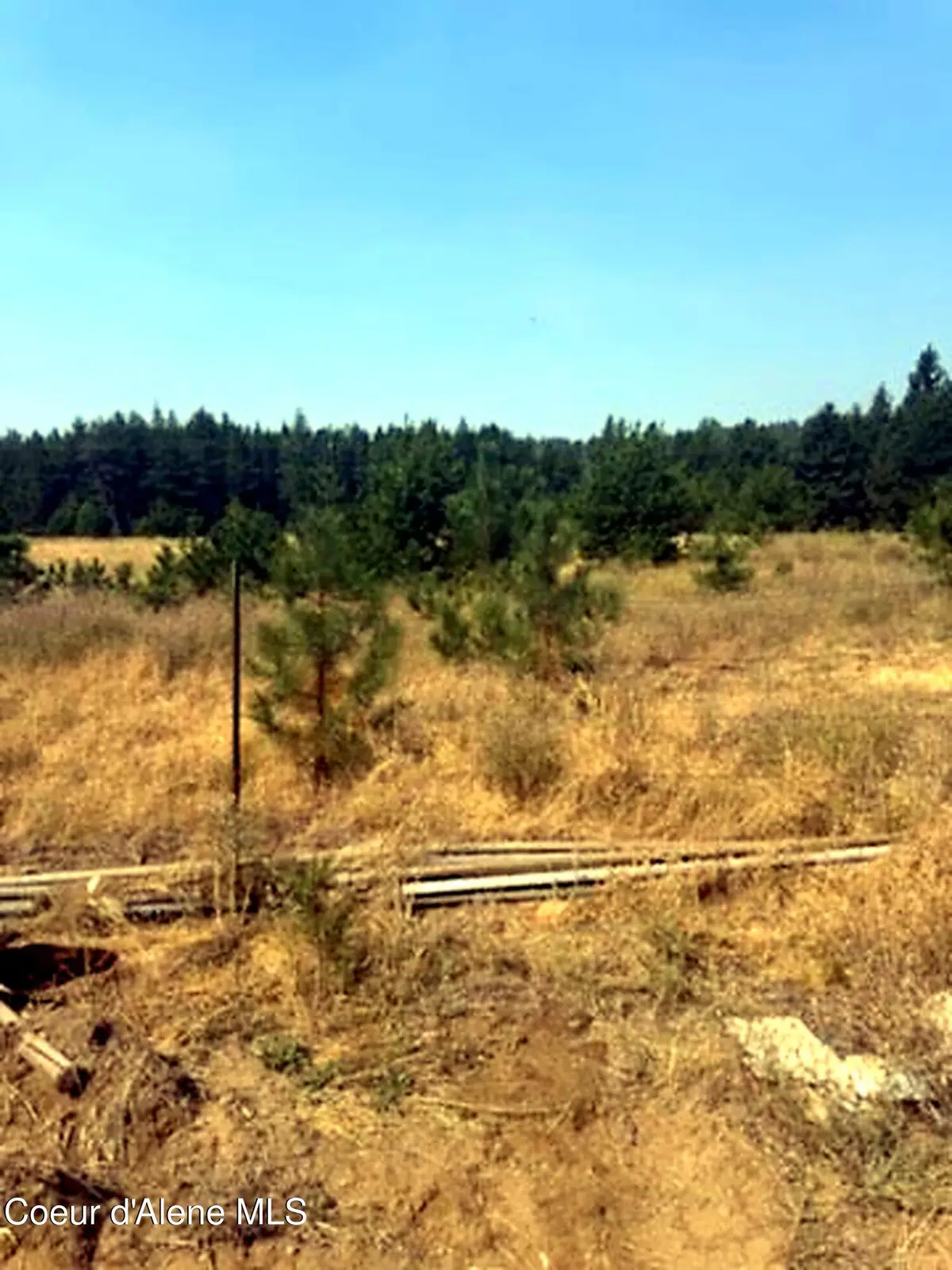 9499 W Nagel Ln, Rathdrum, ID 83858 - #1