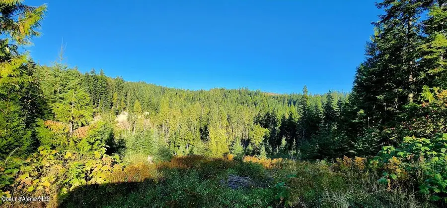 1530 Dusty Ln, Saint Maries, ID 83861 - #2