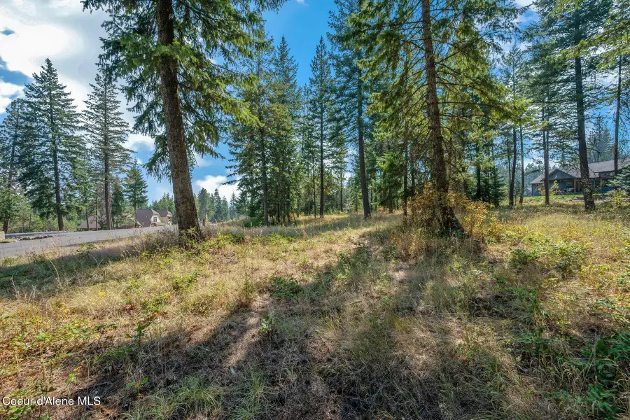 L4B1 N Walden Loop, Rathdrum, ID 83858 - #2