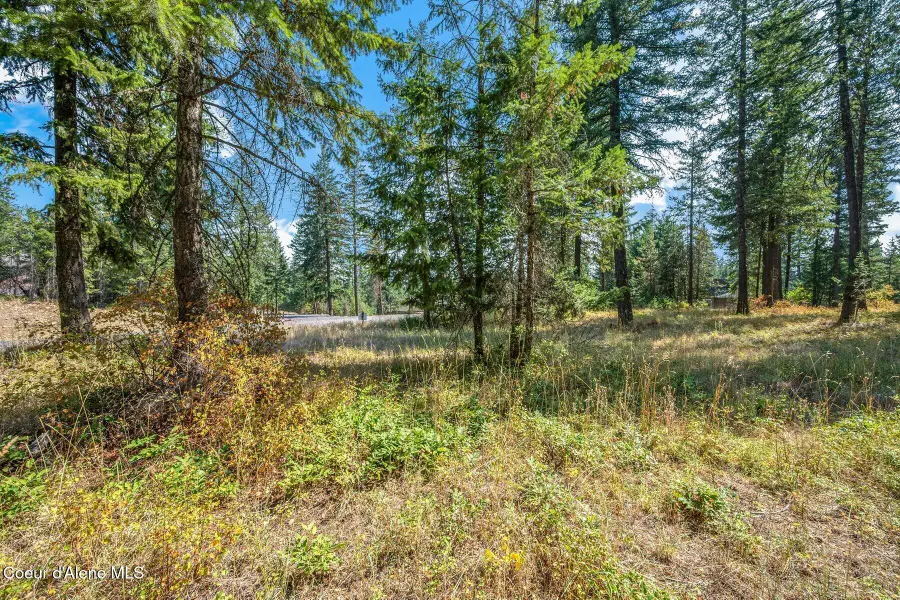L4B1 N Walden Loop, Rathdrum, ID 83858 - #3