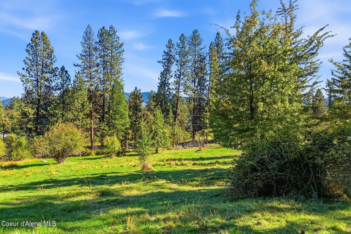 124 Lower Syringa Rd, Dover, ID 83825 - #1
