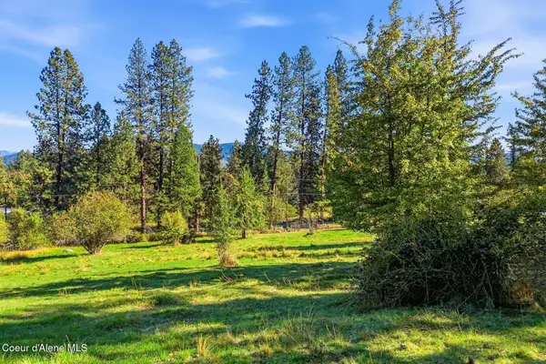 124 Lower Syringa Rd, Dover, ID 83825