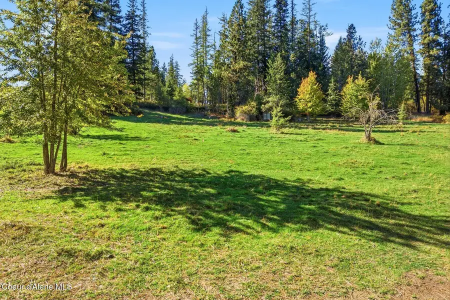 124 Lower Syringa Rd, Dover, ID 83825 - #2