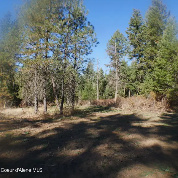 E Bell Canyon Rd, Harrison, ID 83833