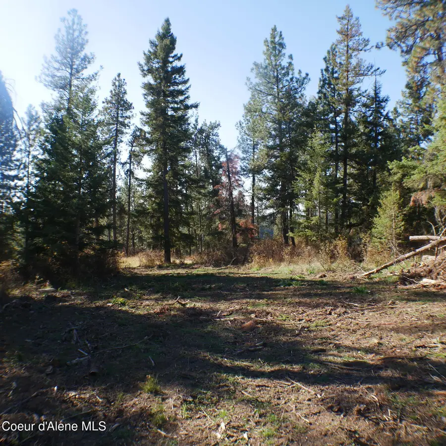 E Bell Canyon Rd, Harrison, ID 83833 - #2