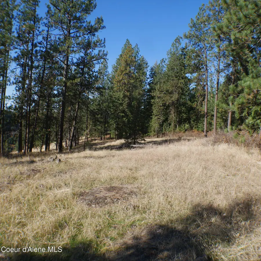 E Bell Canyon Rd, Harrison, ID 83833 - #3