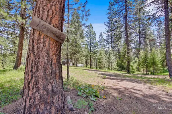 49 Castle Mountain Dr, Garden Valley, ID 83622