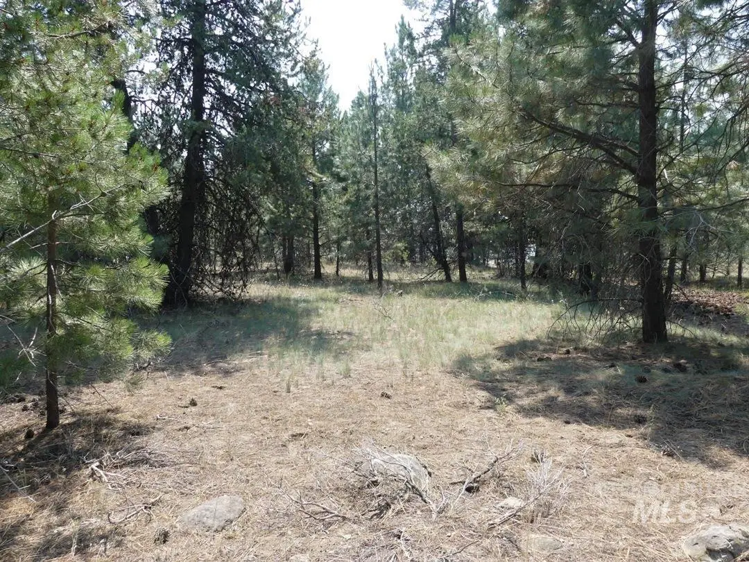 TBD Mission Street, McCall, ID 83638 - Image #1