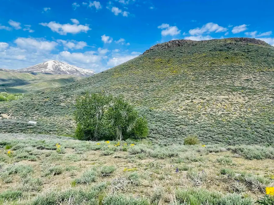 Tbd Silver Brush, Fairfield, ID 83327 - Image #3