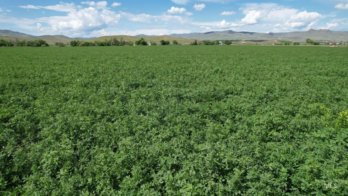 Parcel 1 Olds Ferry Road, Weiser, ID 83672 - Image #1