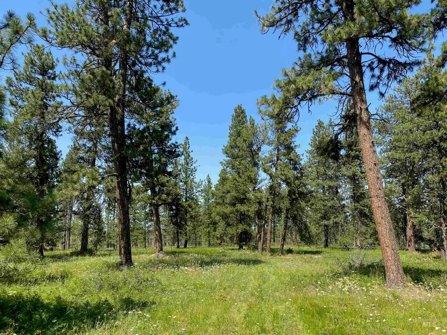 NNA Cloverland Road, Asotin, WA 99402 - Image #2