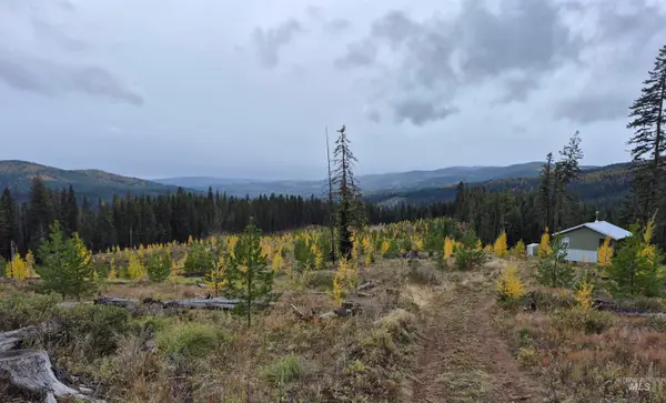 TBD French Gulch Rd Parcel #2, Elk City, ID 83525