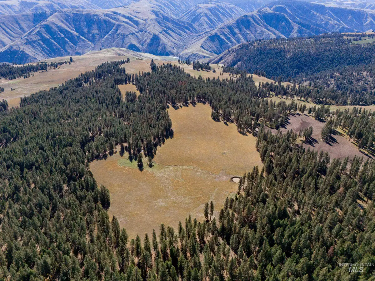 NNA Cougar Creek Road, Anatone, WA 99401 - #1